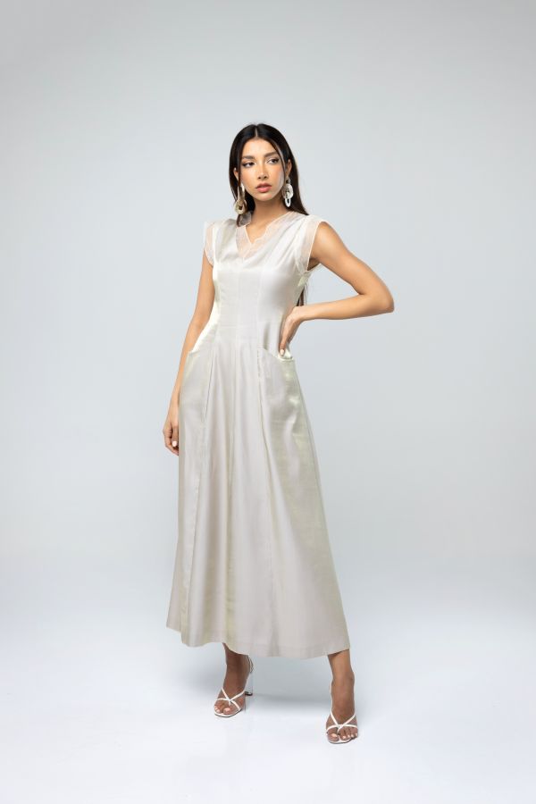 Dorsa  Gallery